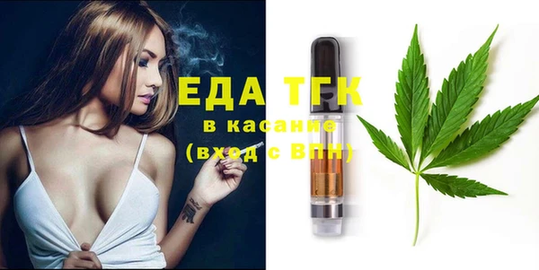 дмт Богородицк