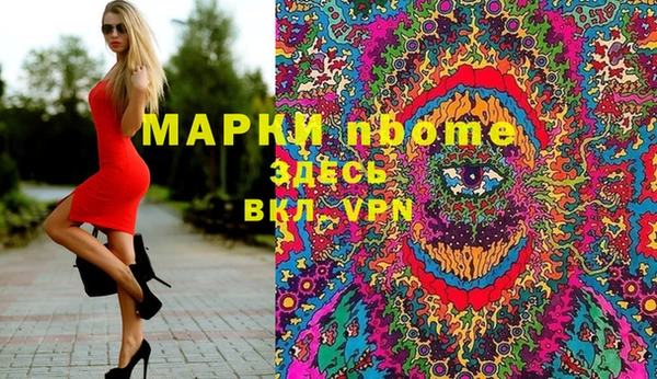 дмт Богородицк