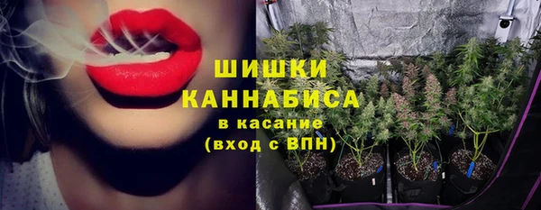 эйфоретик Богородск