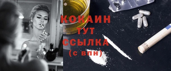 дмт Богородицк