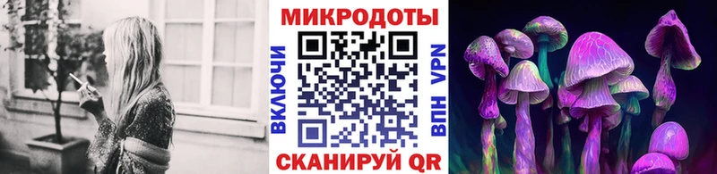 закладки  Кочубеевское  Галлюциногенные грибы прущие грибы 